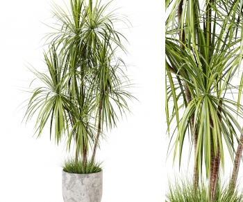 Modern Ground Green Plant Potted Plants-ID:596635103