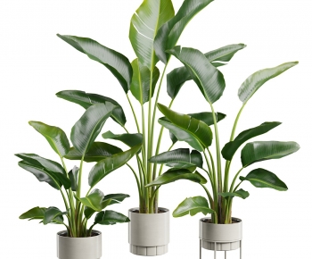 Modern Ground Green Plant Potted Plants-ID:413012988