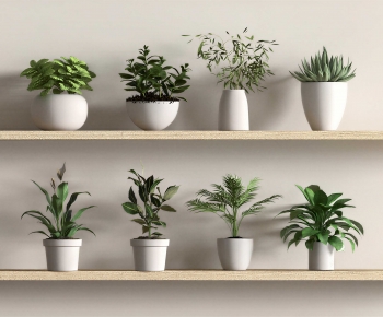 Modern Potted Green Plant-ID:402619848