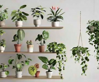 Modern Potted Green Plant-ID:571762081