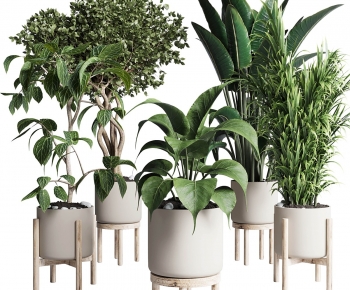 Modern Ground Green Plant Potted Plants-ID:854665991