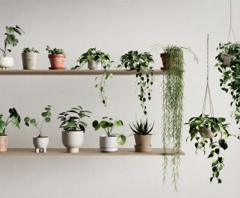 Modern Potted Green Plant-ID:459175112