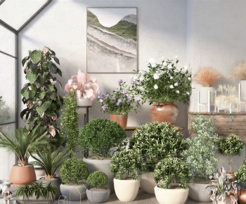 Modern Ground Green Plant Potted Plants-ID:173855078