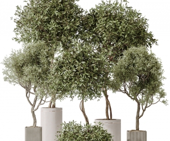 Modern Ground Green Plant Potted Plants-ID:919188023