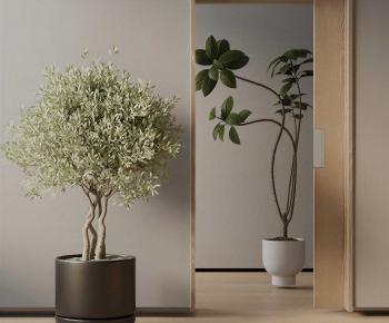 Modern Ground Green Plant Potted Plants-ID:250493053