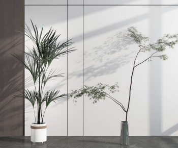 Modern Ground Green Plant Potted Plants-ID:309834965