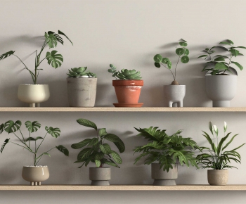 Modern Potted Green Plant-ID:982135065