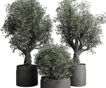 Modern Ground Green Plant Potted Plants-ID:164428002