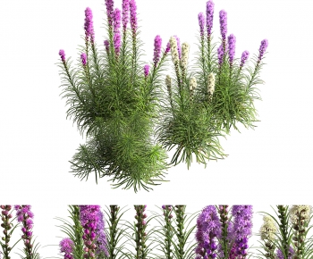 Modern Flowers And Grass-ID:493268014