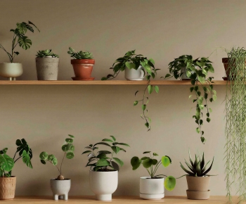 Modern Potted Green Plant-ID:326560022