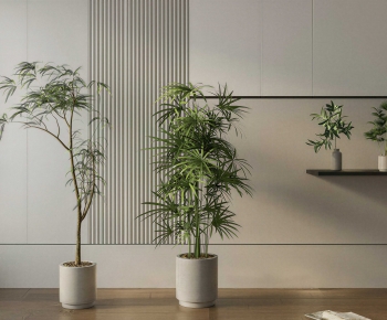 Modern Ground Green Plant Potted Plants-ID:793451079