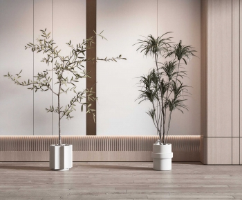 Modern Ground Green Plant Potted Plants-ID:283775096