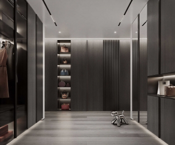 Modern Clothes Storage Area-ID:363015893