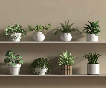 Modern Potted Green Plant-ID:246994975