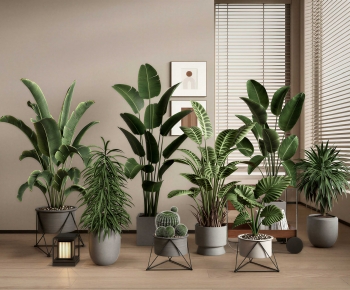 Modern Ground Green Plant Potted Plants-ID:765475033