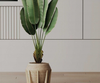 Modern Ground Green Plant Potted Plants-ID:280998952