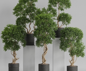 Modern Ground Green Plant Potted Plants-ID:761321073