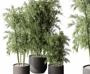 Modern Ground Green Plant Potted Plants-ID:609292983