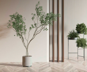 Modern Ground Green Plant Potted Plants-ID:377546071