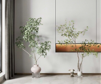 Modern Ground Green Plant Potted Plants-ID:297163011