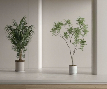 Modern Ground Green Plant Potted Plants-ID:875545984