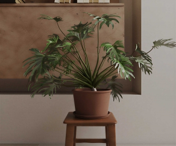 Nordic Style Potted Green Plant-ID:180537947