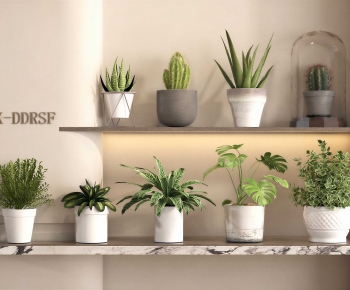 Modern Desktop Plant-ID:744425067