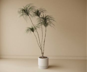 Modern Ground Green Plant Potted Plants-ID:330255035