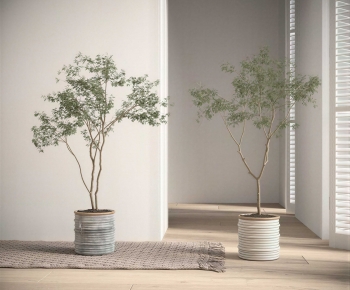 Modern Ground Green Plant Potted Plants-ID:268795977