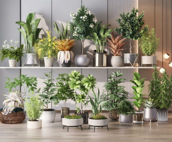 Modern Potted Green Plant-ID:383526093