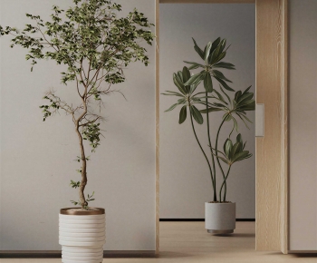 Modern Ground Green Plant Potted Plants-ID:723846918