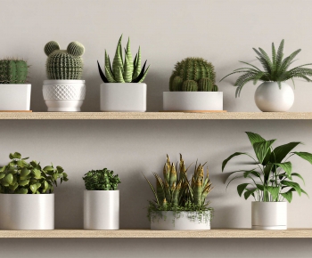 Modern Desktop Plant-ID:696923023