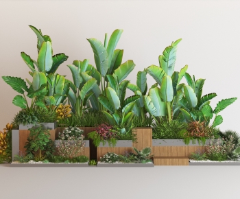 Modern Flower Bed, Flower Bowl, Flower Box-ID:494415042