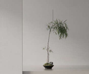 Modern Ground Green Plant Potted Plants-ID:538198972