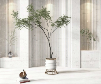 Modern Ground Green Plant Potted Plants-ID:427149068