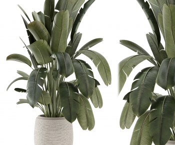 Modern Ground Green Plant Potted Plants-ID:802654039