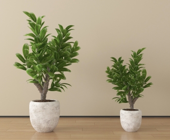 Modern Ground Green Plant Potted Plants-ID:620629074