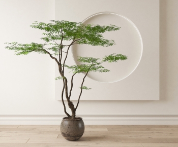 Modern Ground Green Plant Potted Plants-ID:981287969