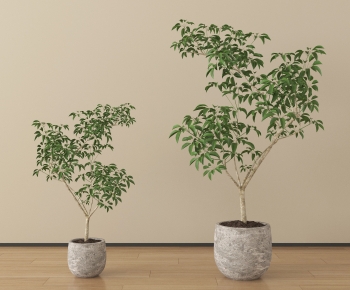 Modern Ground Green Plant Potted Plants-ID:556674006