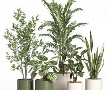Modern Ground Green Plant Potted Plants-ID:152947904