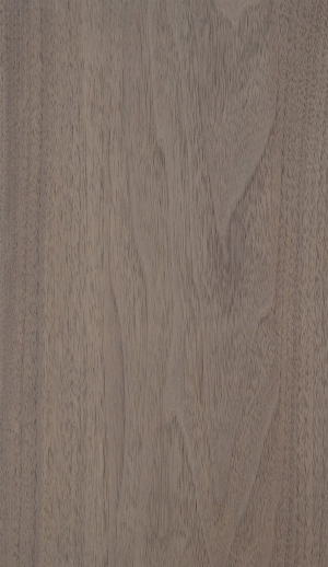 ModernWood Texture