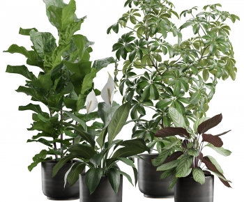Modern Ground Green Plant Potted Plants-ID:731040004
