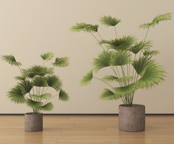 Modern Ground Green Plant Potted Plants-ID:333380946