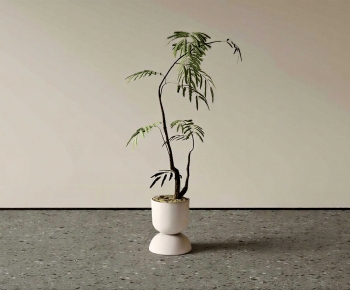 Modern Ground Green Plant Potted Plants-ID:149929058