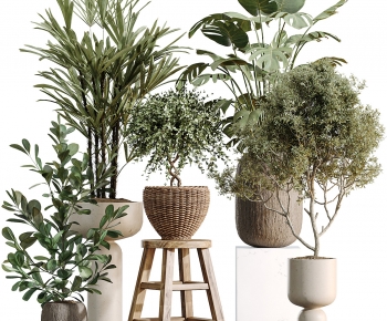 Modern Ground Green Plant Potted Plants-ID:832585109