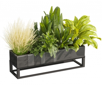 Modern Flower Bed, Flower Bowl, Flower Box-ID:183382035