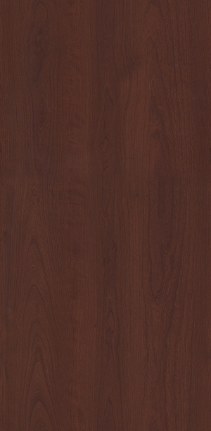 ModernWood Texture