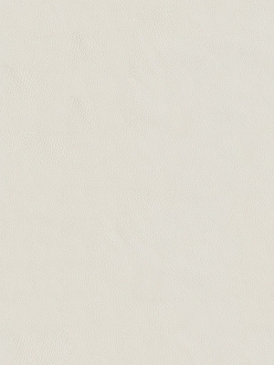 ModernFine Grain Leather