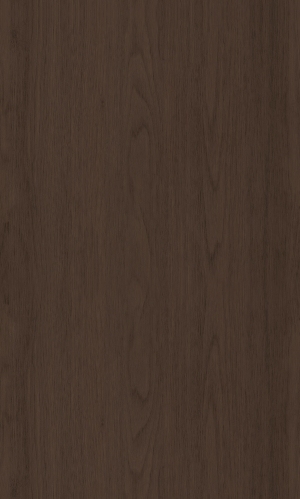 ModernWood Texture