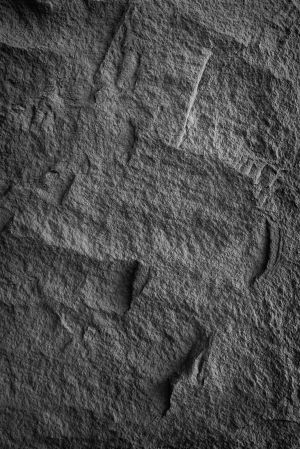 ModernStone Brick Wall